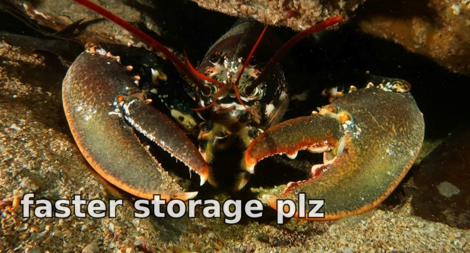 OpenClaw needs the speed